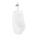 Пісуар підвісний Qtap Crow з краном-дозатором 390х330х660 White QT0588112HW SD00045970 фото 1