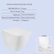 Готове рішення Qtap для ванної кімнати: підвісний унітаз Tern Rimless 490x340x350 + комплект інсталяції Nest 4 в 1 (кругла клавіша Chrome) SD00043022 фото 3